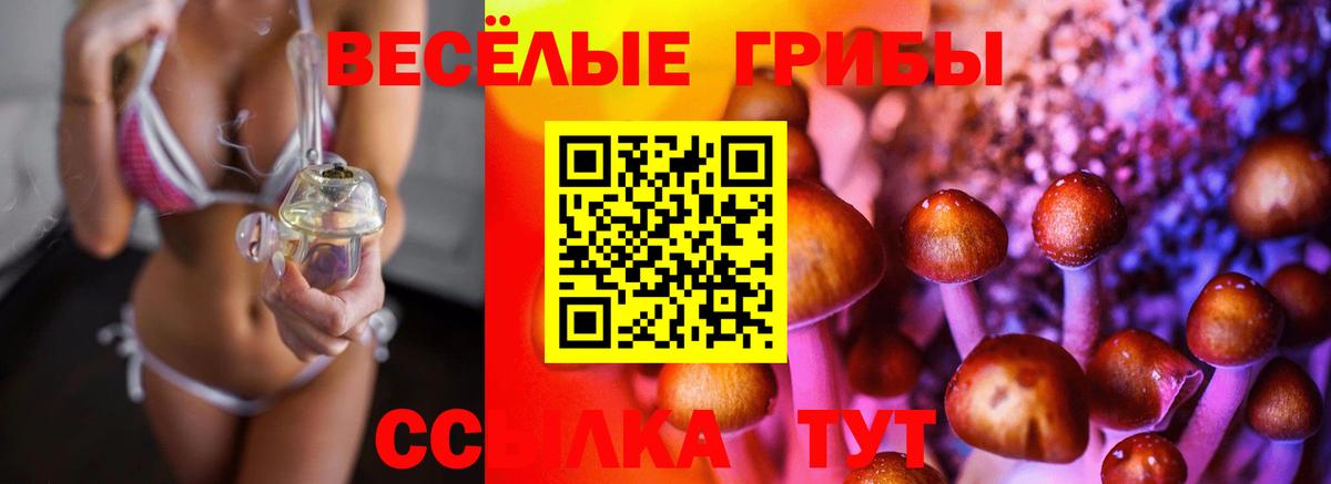 Галлюциногенные грибы Psilocybe Соль-Илецк