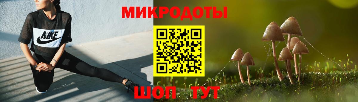 Соль-Илецк  Псилоцибиновые грибы ЛСД  Вход с VPN 